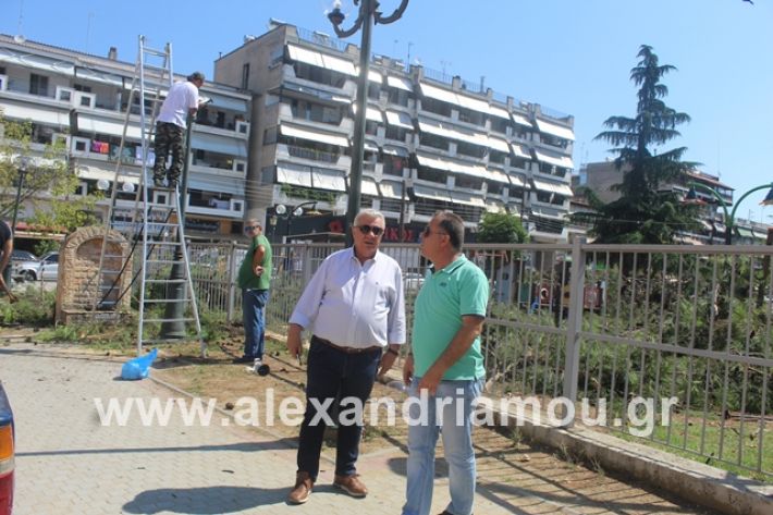 alexandriamou.gr_dentradimarxos2019065