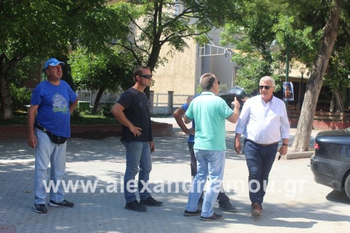 alexandriamou.gr_dentradimarxos2019076