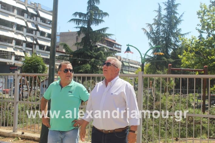 alexandriamou.gr_dentradimarxos2019078