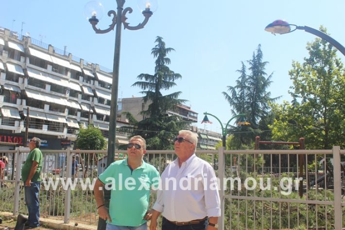 alexandriamou.gr_dentradimarxos2019079