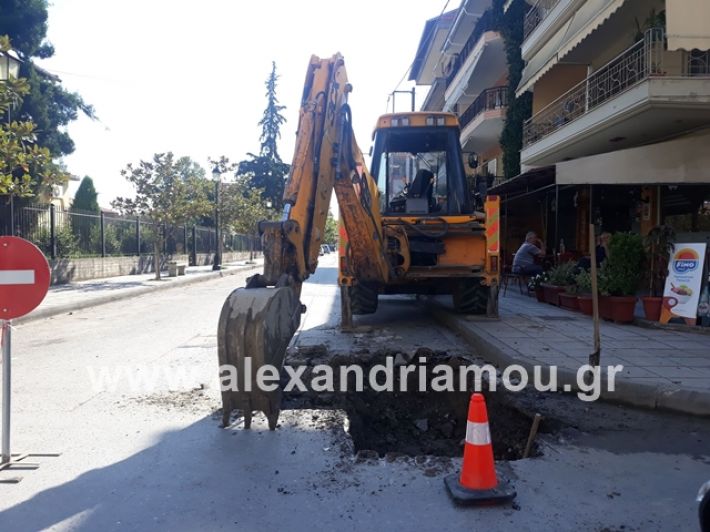 alexandriamou.gr_dentradimarxos2019100