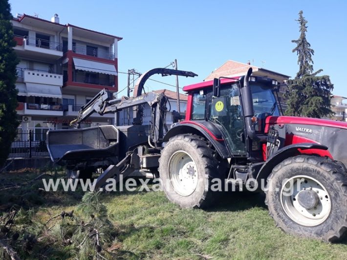 alexandriamou.gr_dentradimarxos2019103