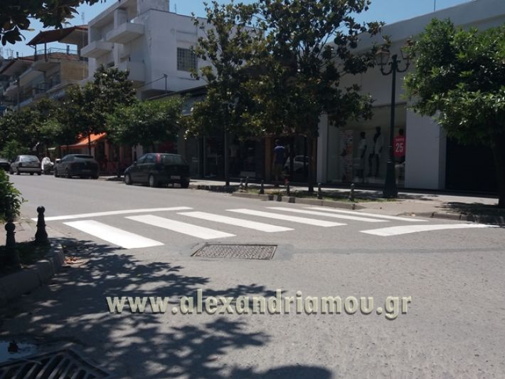alexandriamou.gr_diavasis18009