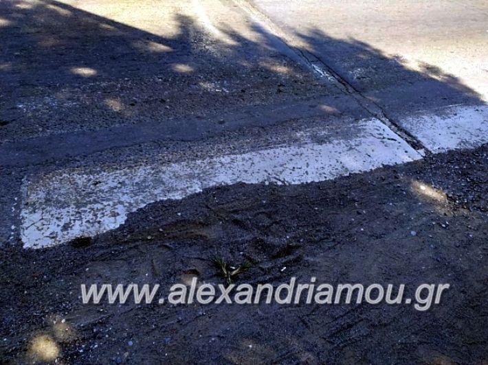 alexandriamou.gr_diavaseis201969495487_446200219319462_4270735073336098816_n