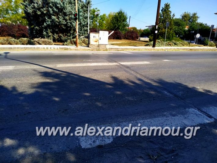 alexandriamou.gr_diavaseis201969572722_440558240139236_7440034167389159424_n