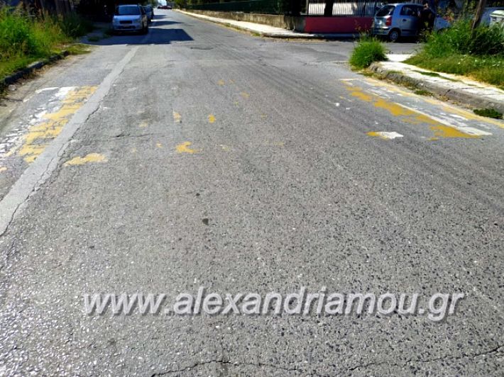 alexandriamou.gr_diavaseis201969621846_480066209445274_3039516362167812096_n