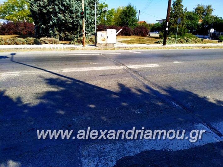 alexandriamou.gr_diavaseis201969639382_1062616144130152_9137748097122697216_n