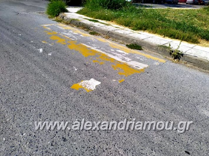 alexandriamou.gr_diavaseis201969713257_503788336858440_7447646142222827520_n