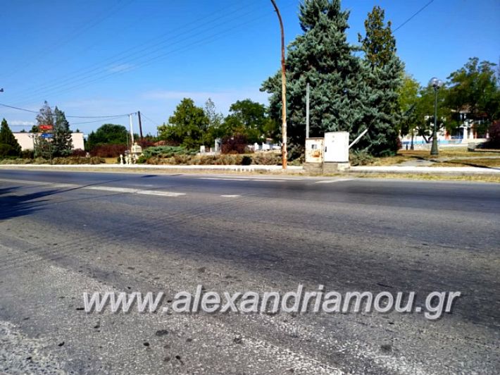 alexandriamou.gr_diavaseis201969794098_1153061378219206_608407779907993600_n