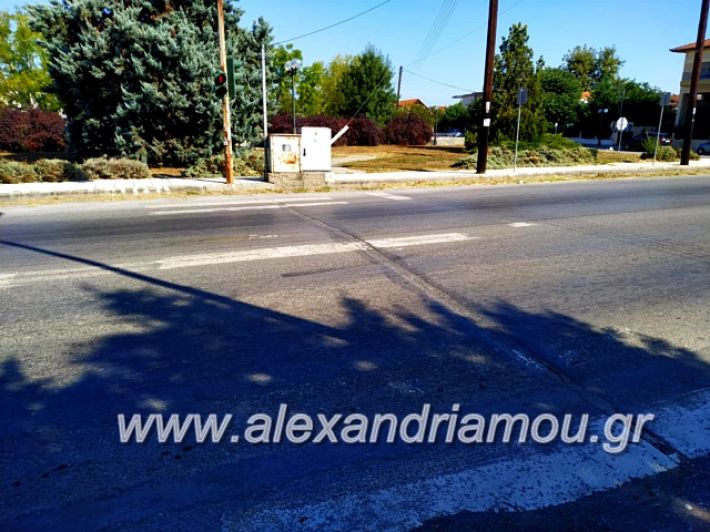 alexandriamou.gr_diavaseis201969964838_678310266007461_7434326688428720128_n