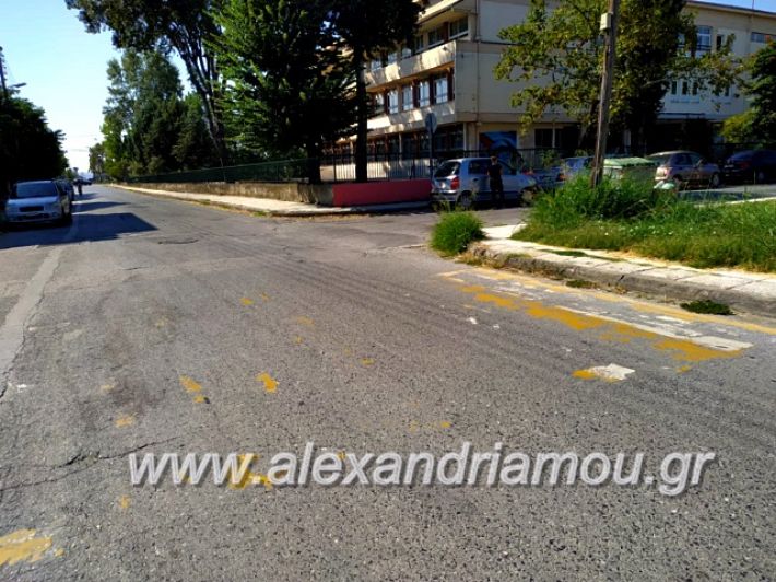 alexandriamou.gr_diavaseis201970029178_2375212086072272_8739636991362072576_n