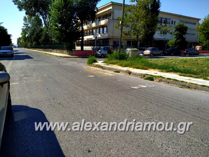 alexandriamou.gr_diavaseis201970393715_1334719926703731_1338431583186583552_n