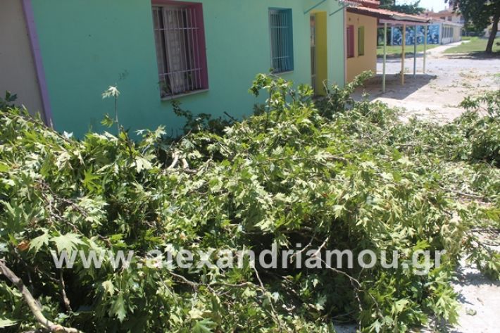 alexandriamou.gr_eidiko12.7.19008