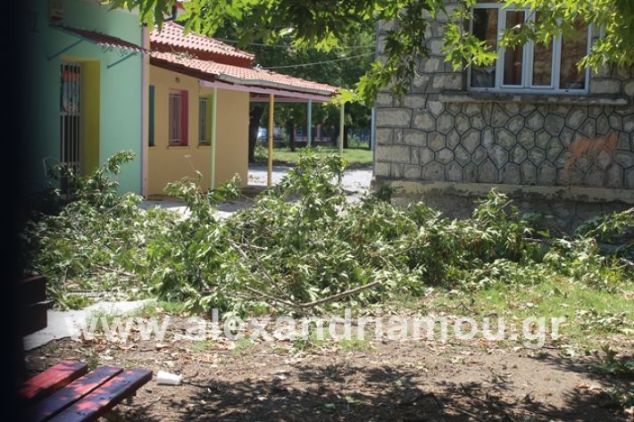 alexandriamou.gr_eidiko12.7.19016