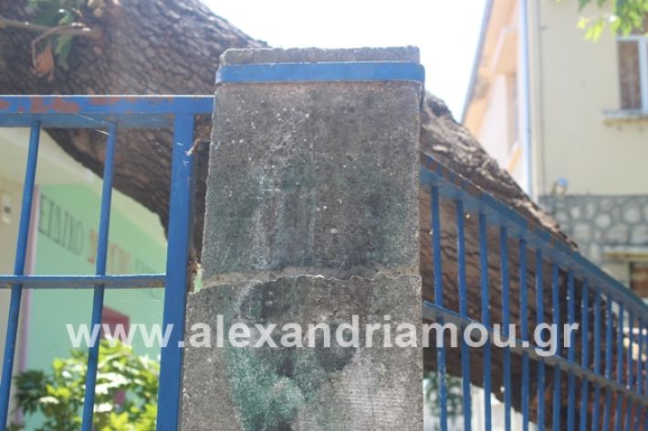 alexandriamou.gr_eidiko12.7.19025