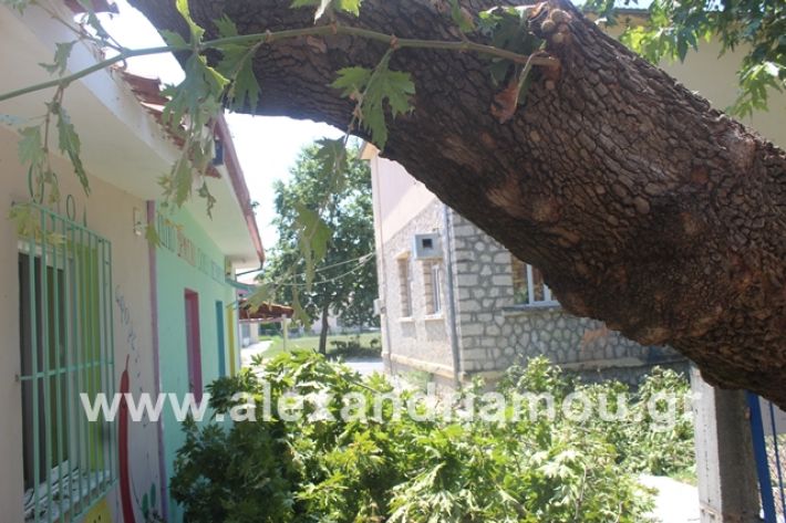 alexandriamou.gr_eidiko12.7.19031