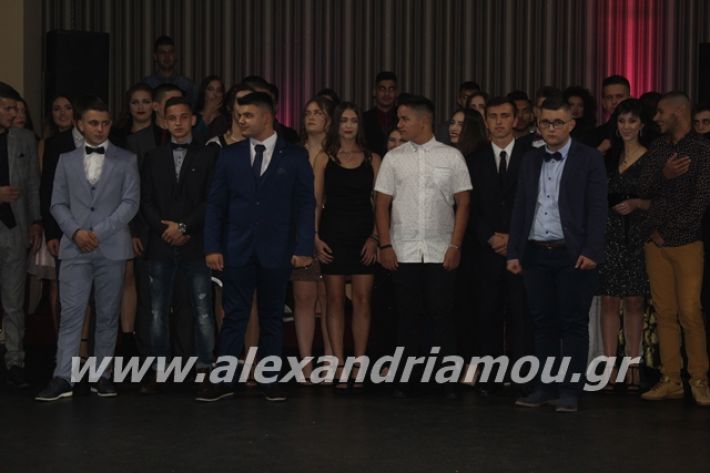 alexandriamou.gr_epalxoros2019140