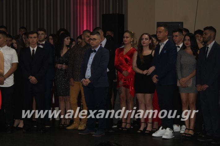 alexandriamou.gr_epalxoros2019151