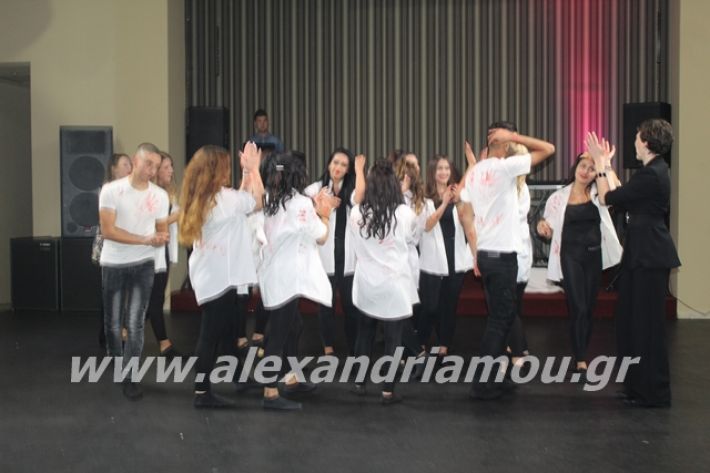 alexandriamou.gr_epalxoros2019214