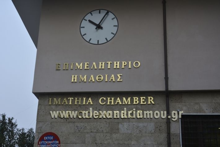 alexandriamou.gr_epimilitirioekloges11