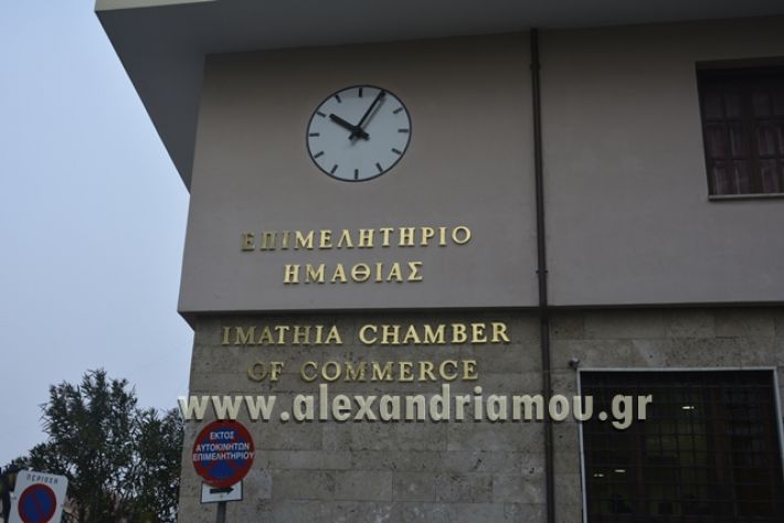 alexandriamou.gr_epimilitirioekloges12