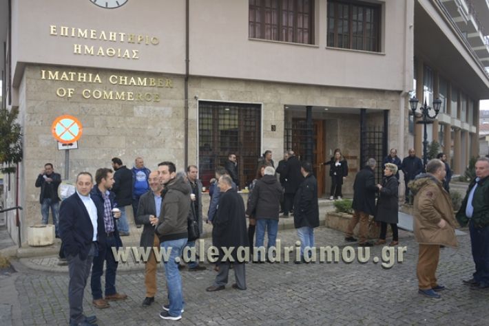 alexandriamou.gr_epimilitirioekloges13