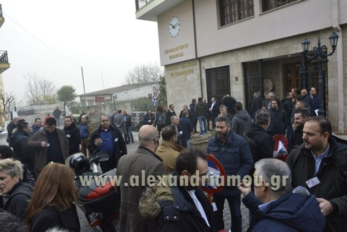 alexandriamou.gr_epimilitirioekloges31