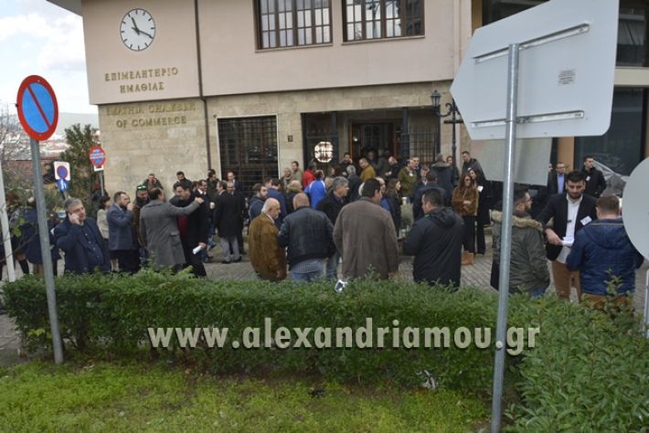 alexandriamou.gr_epimilitirioekloges44