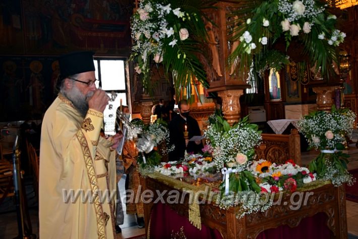 alexandriamou.gr_lepitafios21DSC_0096