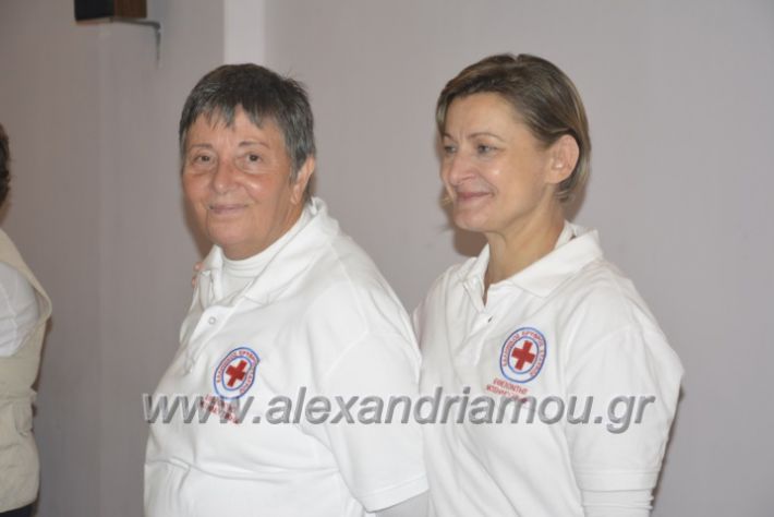 alexandriamou.gr_erithros_stauros201003