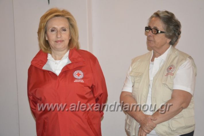 alexandriamou.gr_erithros_stauros201007