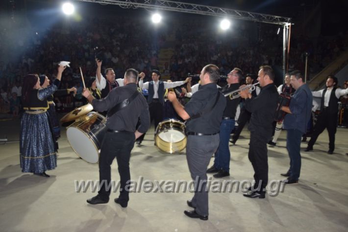 alexandriamou.gr_estia_parastasi2018088