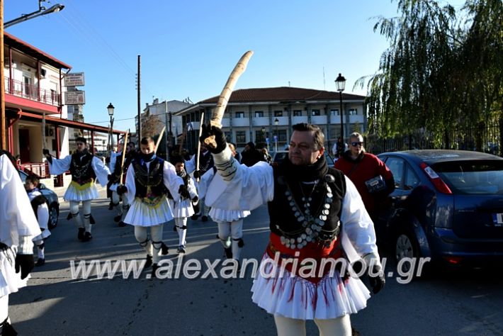 alexandriamou.gr_estia2109DSC_1298