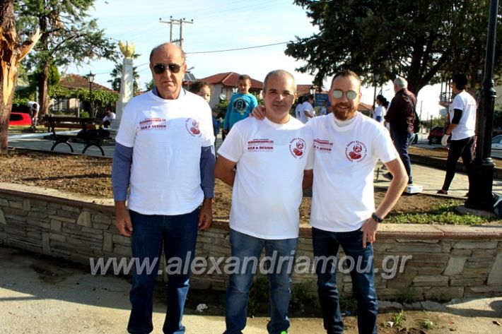 alexandriamou.gr_ethelontikiomadaloutrou2019IMG_9119