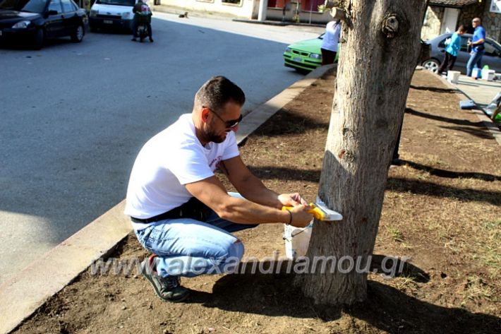 alexandriamou.gr_ethelontikiomadaloutrou2019IMG_9132