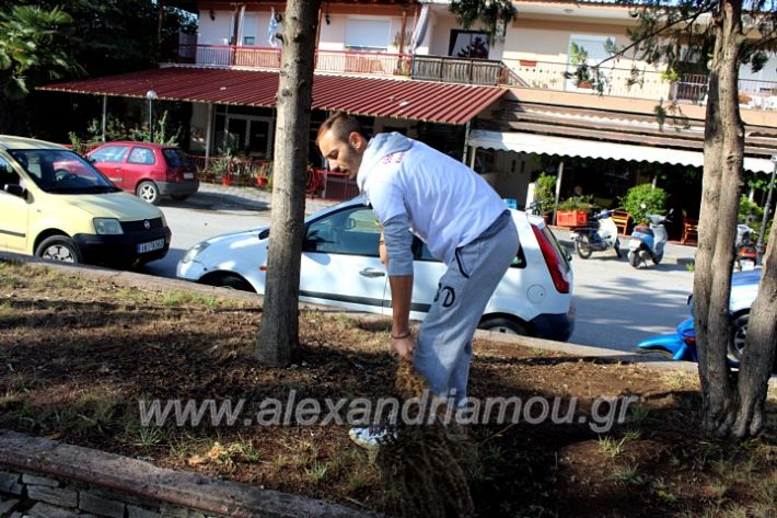 alexandriamou.gr_ethelontikiomadaloutrou2019IMG_9143