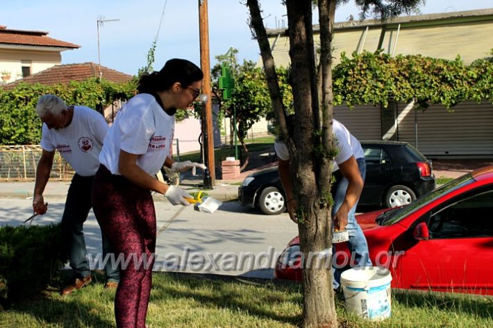 alexandriamou.gr_ethelontikiomadaloutrou2019IMG_9147