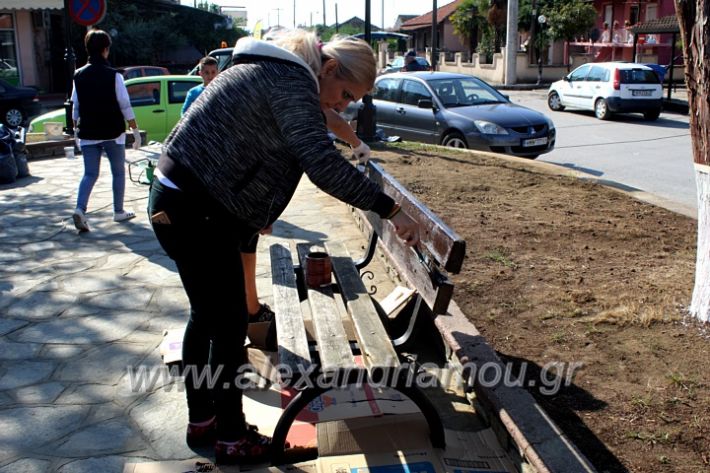 alexandriamou.gr_ethelontikiomadaloutrou2019IMG_9203