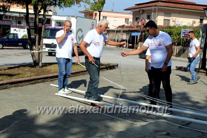 alexandriamou.gr_ethelontikiomadaloutrou2019IMG_9214