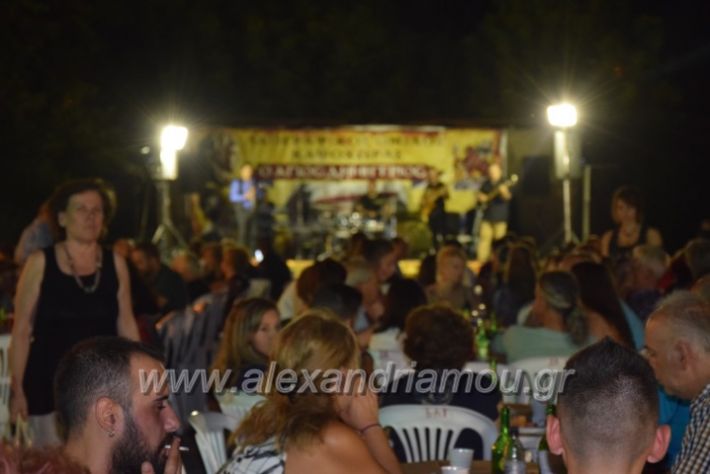 alexandriamou.gr_fanourgiotika2018017