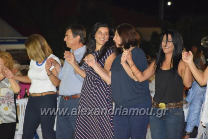 alexandriamou.gr_fanourgiotika2018046