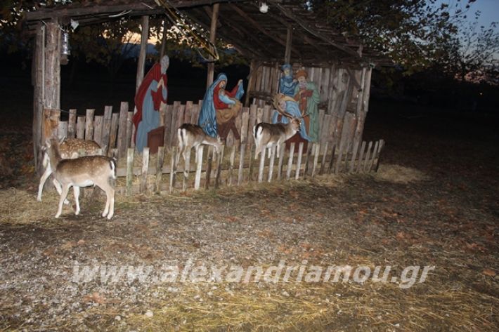 alexandriamou.gr_fantirapsomaniki2019019