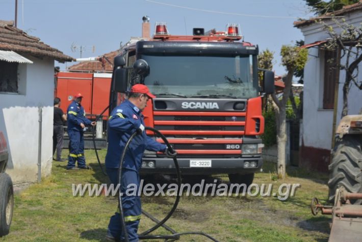 alexandriamou_fotia4.2.2019022