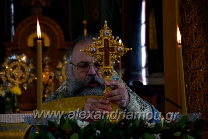 alexandriamou.gr_fota2021DSC_0867