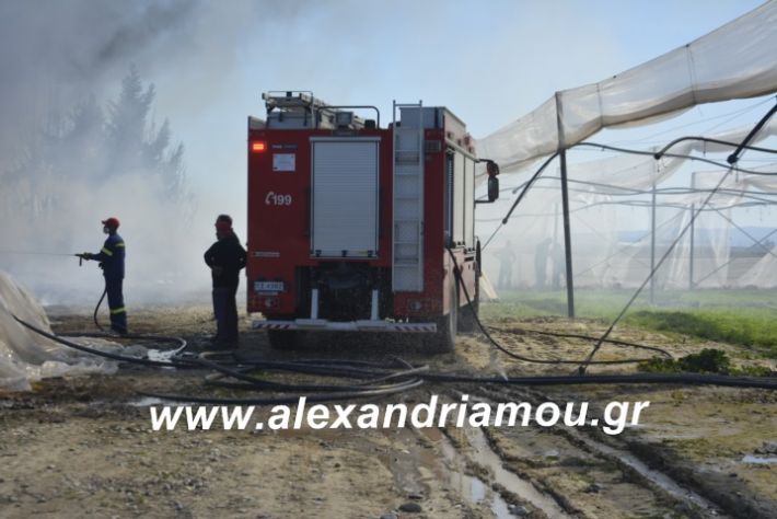 alexandriamou.fotia10.3.19005