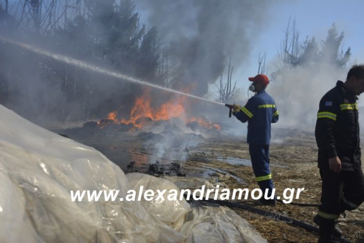 alexandriamou.fotia10.3.19006