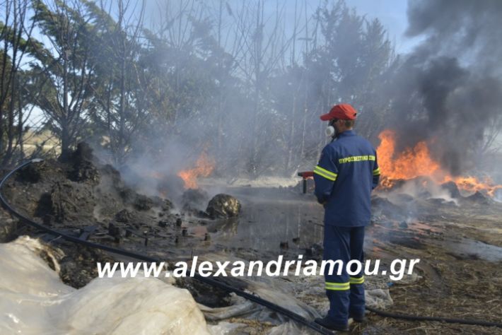 alexandriamou.fotia10.3.19010