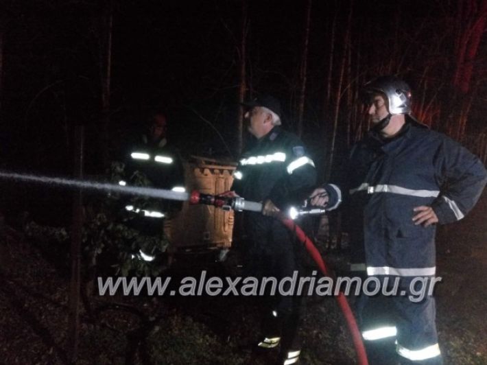 alexandriamou.gr_fotia15.12.18012
