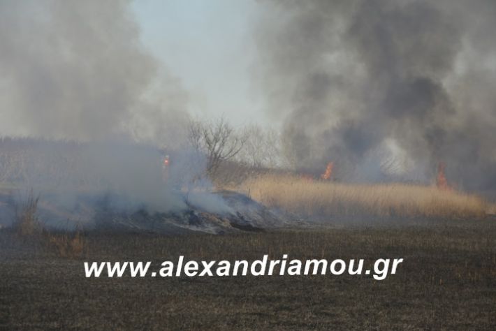 alexandriamou.fotia21.2.19014