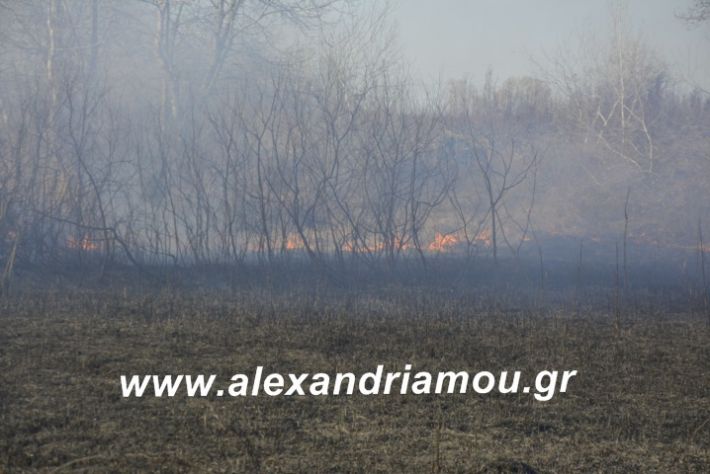 alexandriamou.fotia21.2.19018